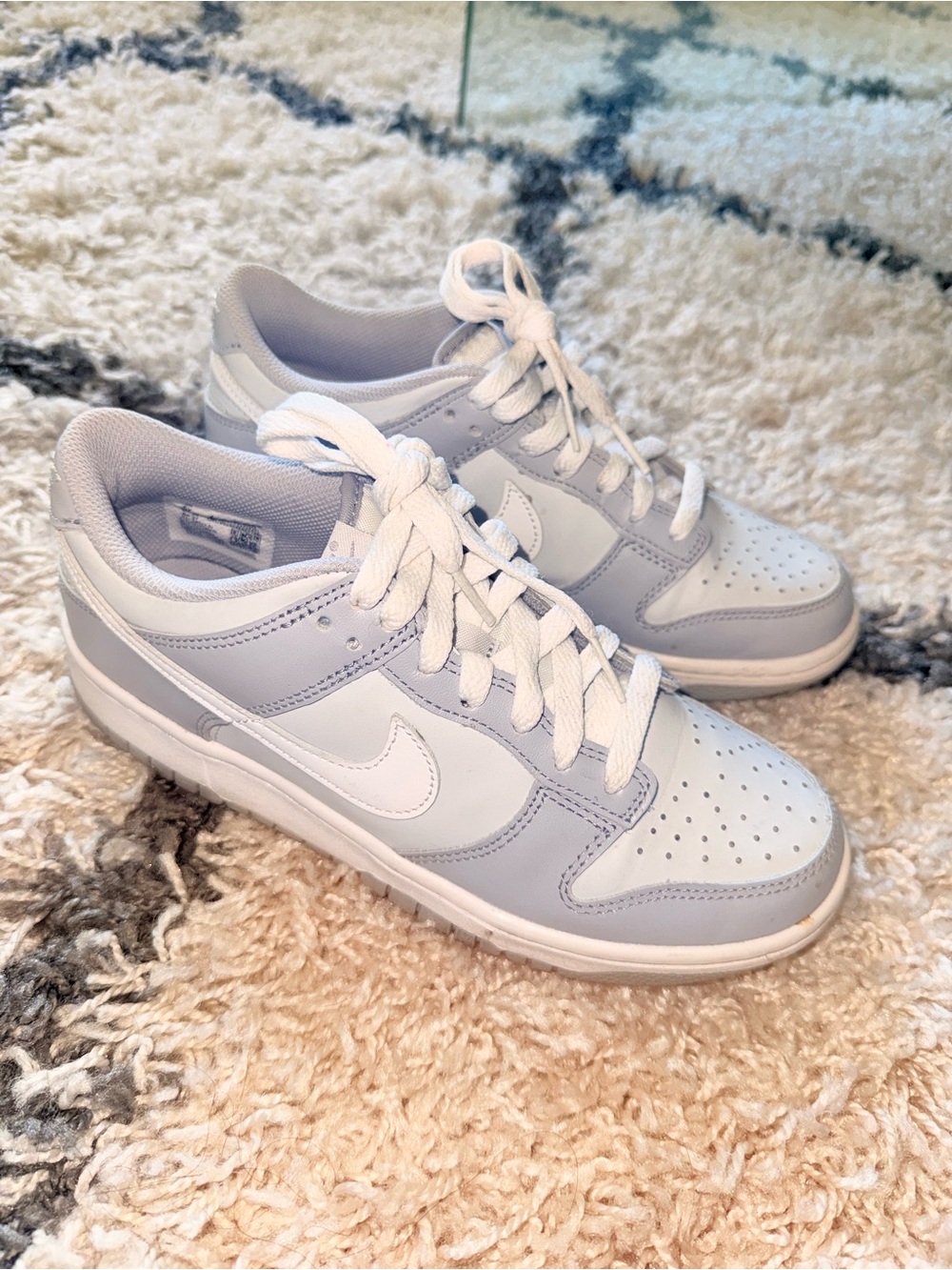 Nike Low-Top Dunk Sneakers in Light Gray and White